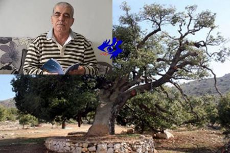 أحِبُّكِ يا بلادي" شعر كمال ابراهيم"